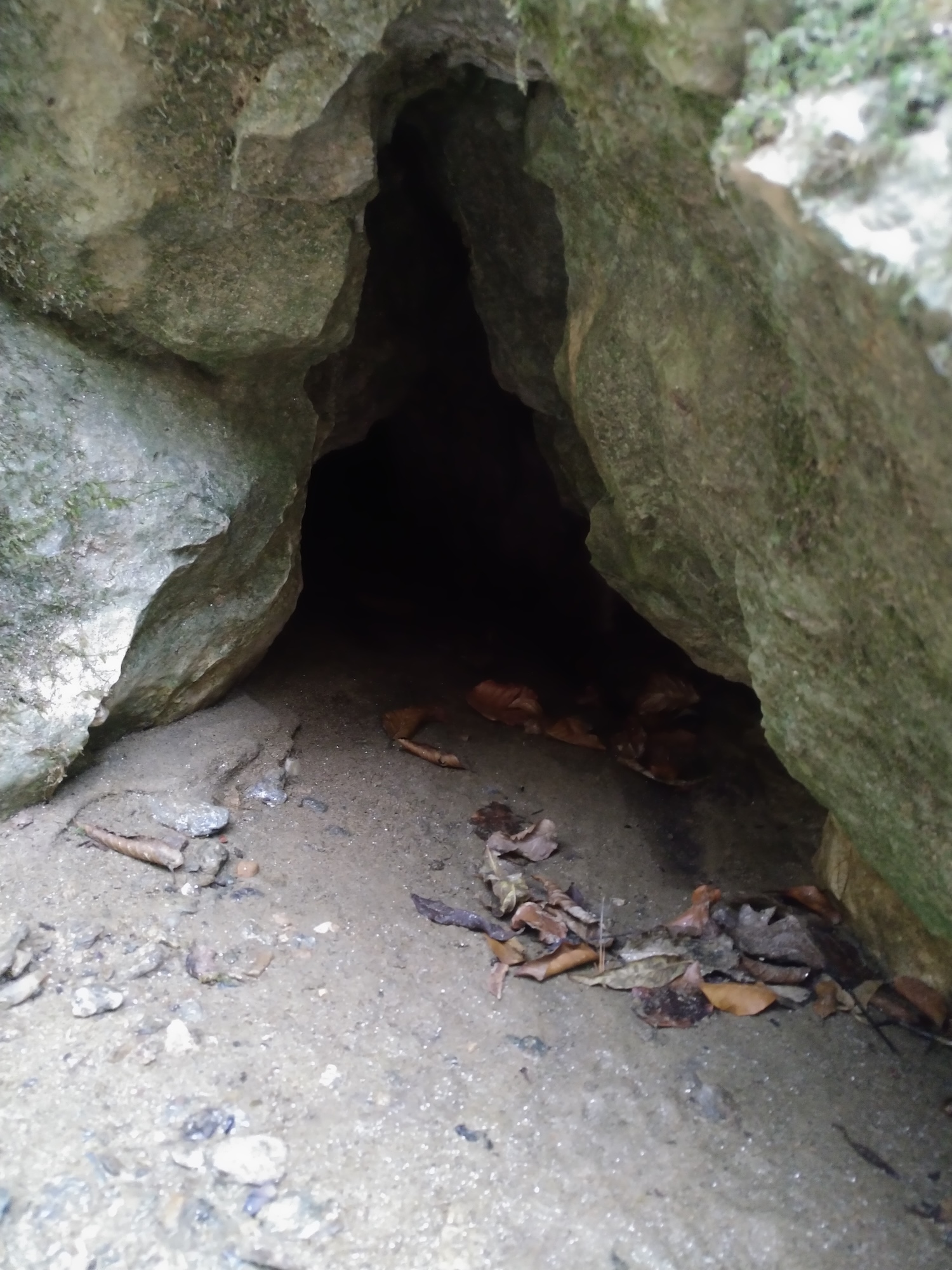 Peștera Gaura cu Nisip - Image 2